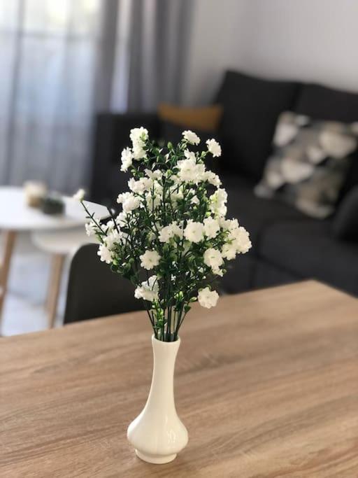 Encantador Apartamento Residencial Con Piscina 토레몰리노스 외부 사진